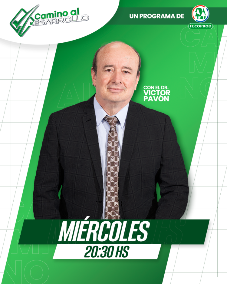 8. camino al desarrollo