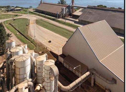 Industrialización de soja alcanza récord y consolida crecimiento, según la CAPPRO Industrialización de soja alcanza récord y consolida crecimiento, según la CAPPRO