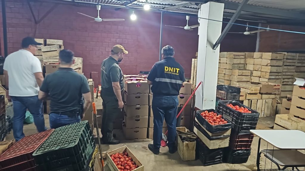 La DNIT se incauta de casi 12.000 kilos de tomate presuntamente de contrabando La DNIT se incauta de casi 12.000 kilos de tomate presuntamente de contrabando