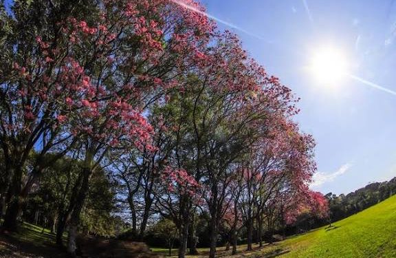 Sábado con ambiente cálido a caluroso a nivel nacional