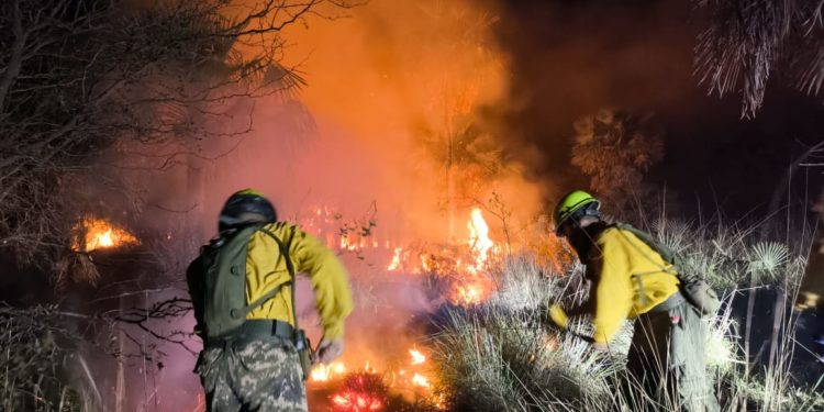 Más de 100 militares sofocaron incendio forestal en Presidente Hayes Más de 100 militares sofocaron incendio forestal en Presidente Hayes