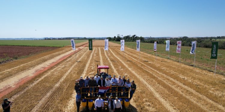 Arrancó la siembra de soja 2025 con protagonismo de pequeños y grandes productores Arrancó la siembra de soja 2025 con protagonismo de pequeños y grandes productores