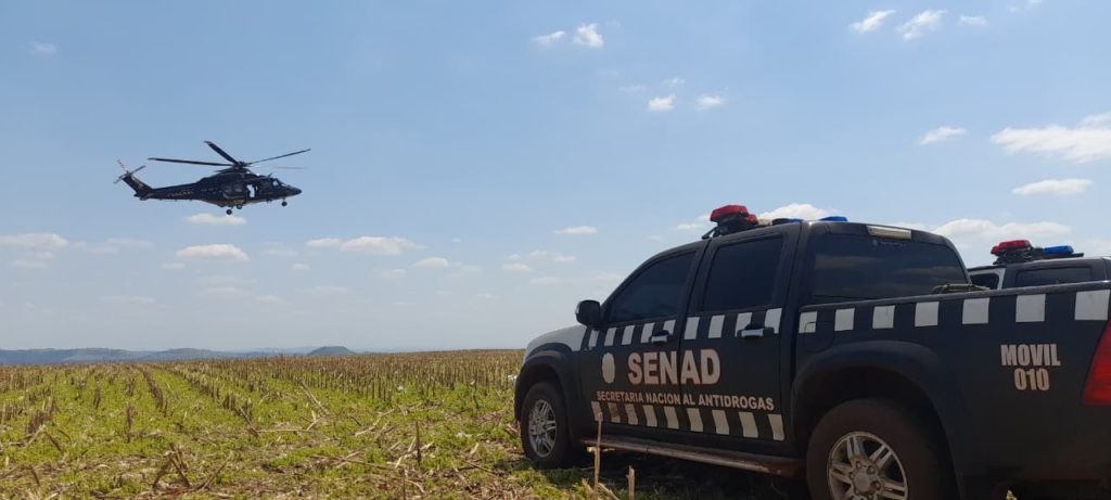 Operación “Nueva Alianza 52” elimina 589 toneladas de marihuana en seis días