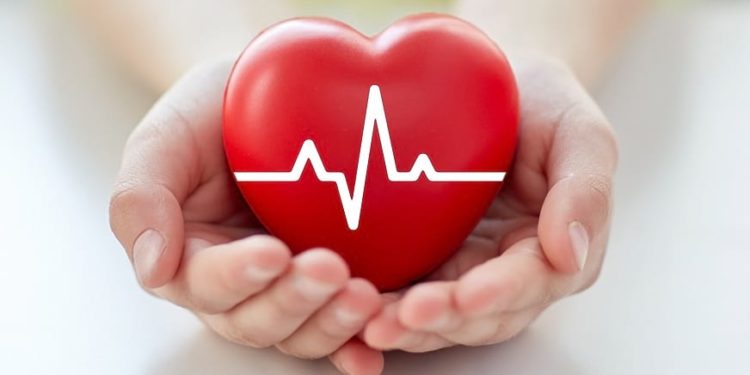 La salud del corazón en el centro: este 29 de setiembre se recuerda el Día Mundial del Corazón La salud del corazón en el centro: este 29 de setiembre se recuerda el Día Mundial del Corazón