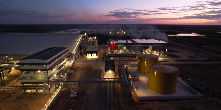 Planta aceitera marca un giro estratégico en la industrialización paraguaya