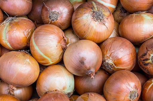 SENAVE acompaña a productores de cebolla en el Chaco con certificaciones y controles de calidad