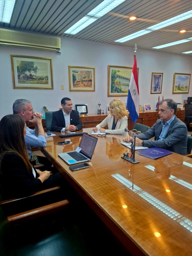 Unión Europea anuncia apoyo a la modernización eléctrica nacional y desarrollo energético del Chaco