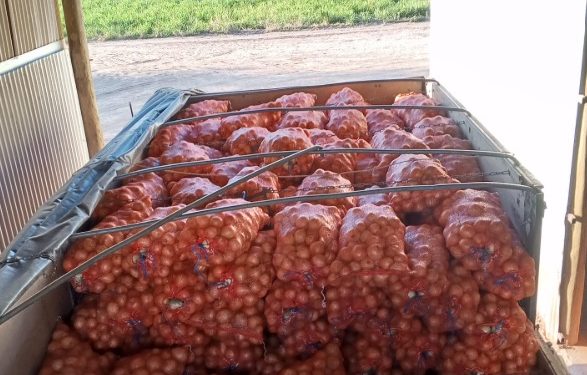 «Nos trataron como delincuentes por transportar cebolla nacional”, lamentó encargado de empresa fletera