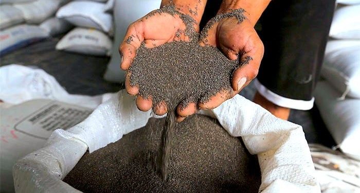 Exportaciones de alimentos superan los USD 350 millones hasta septiembre, según REDIEX