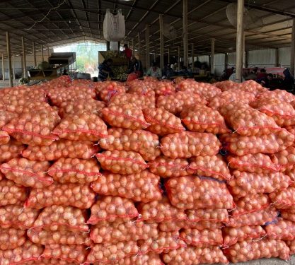 Productor chaqueño de cebolla denuncia grave perjuicio por incautación irregular de su cosecha Productor chaqueño de cebolla denuncia grave perjuicio por incautación irregular de su cosecha