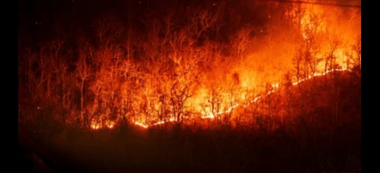 Fuerzas Armadas se despliegan para frenar incendio en el Alto Paraguay, zona de Bahía Negra Fuerzas Armadas se despliegan para frenar incendio en el Alto Paraguay, zona de Bahía Negra