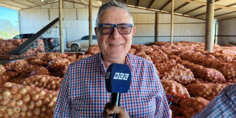 Senador Penner y Héctor Cristaldo constatan que cebolla incautada en el Chaco es de producción nacional Senador Penner y Héctor Cristaldo constatan que cebolla incautada en el Chaco es de producción nacional