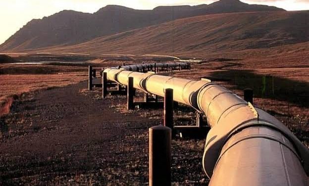 Paraguay propone al Chaco como eje del futuro gasoducto bioceánico Paraguay propone al Chaco como eje del futuro gasoducto bioceánico