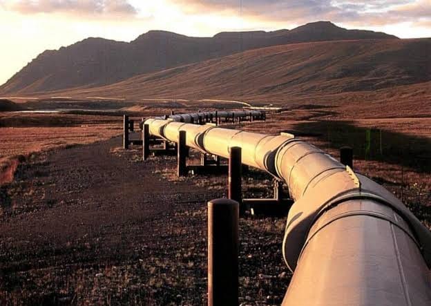 Paraguay propone al Chaco como eje del futuro gasoducto bioceánico