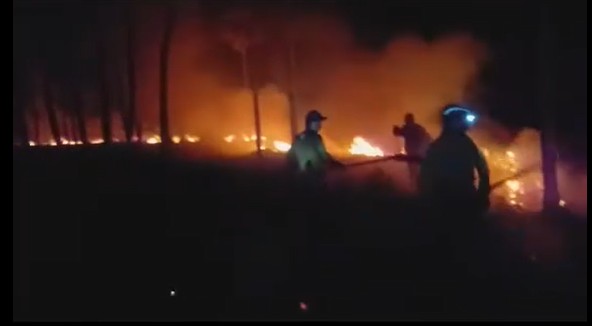 Incendio forestal en Presidente Hayes