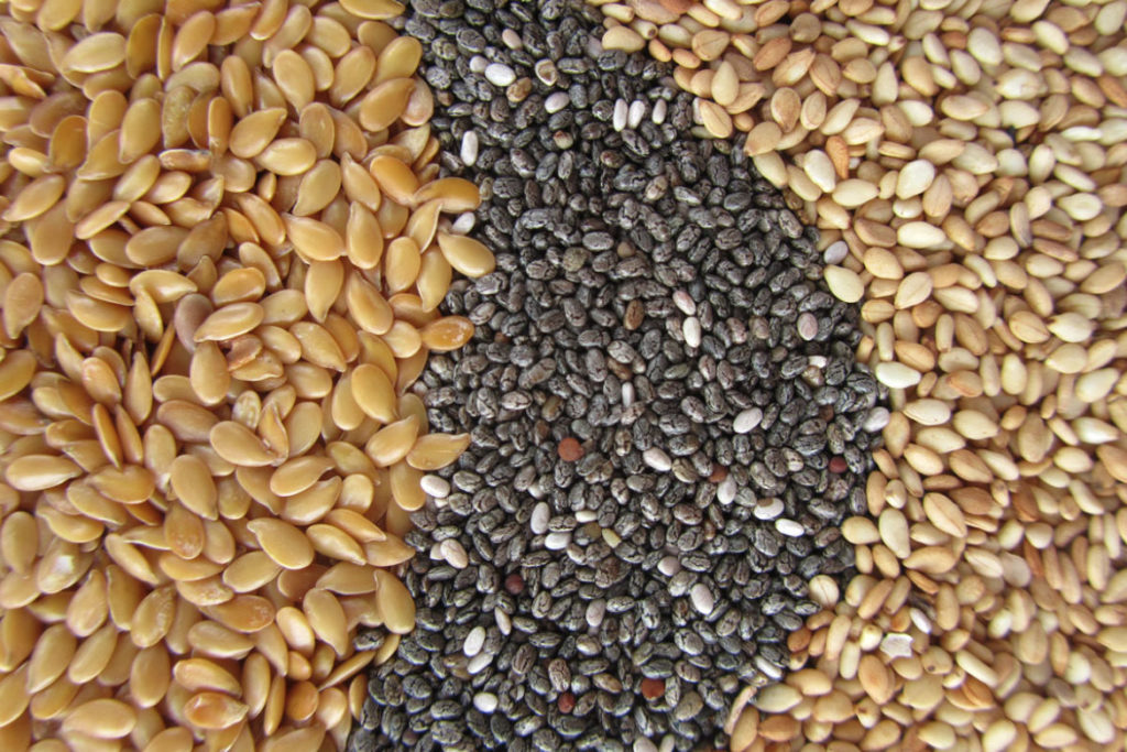 Exportaciones de chía y sésamo paraguayos marcan un fuerte repunte y consolidan su presencia internacional Exportaciones de chía y sésamo paraguayos marcan un fuerte repunte y consolidan su presencia internacional