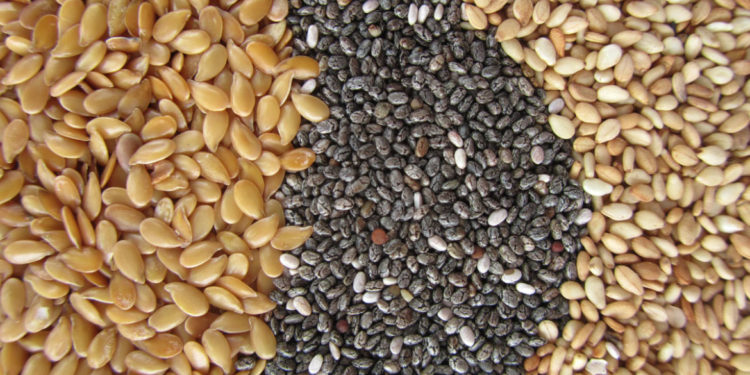 Exportaciones de chía y sésamo paraguayos marcan un fuerte repunte y consolidan su presencia internacional Exportaciones de chía y sésamo paraguayos marcan un fuerte repunte y consolidan su presencia internacional