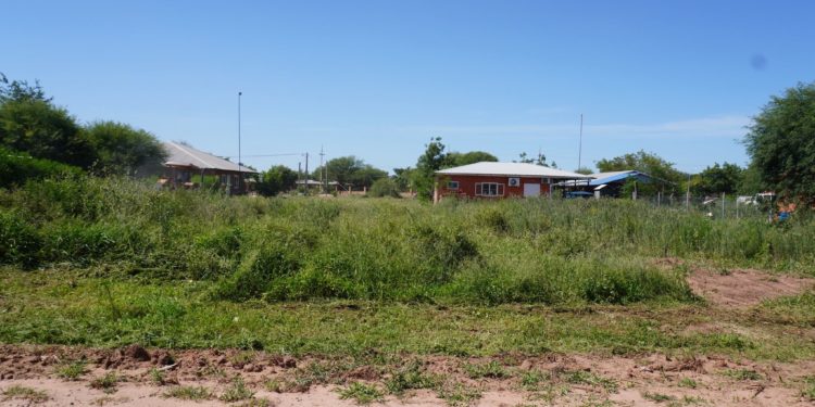 Comuna de Filadelfia avisa a dueños de patios baldíos sobre posibles sanciones Comuna de Filadelfia avisa a dueños de patios baldíos sobre posibles sanciones