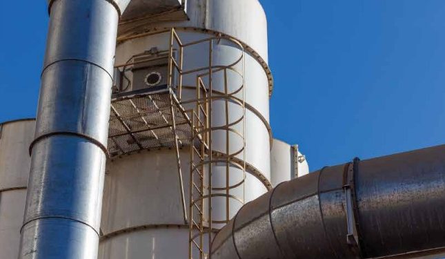 Industrialización de soja marca récord en 2025 y consolida un año histórico para la agroindustria