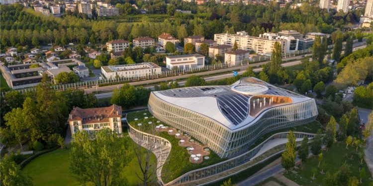 COI prepara prohibición de deportistas transgénero en categorías femeninas a partir de 2026