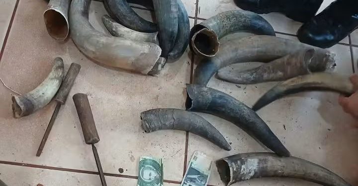 Incautan objetos prohibidos durante un control en el Cereso de Minga Guazú