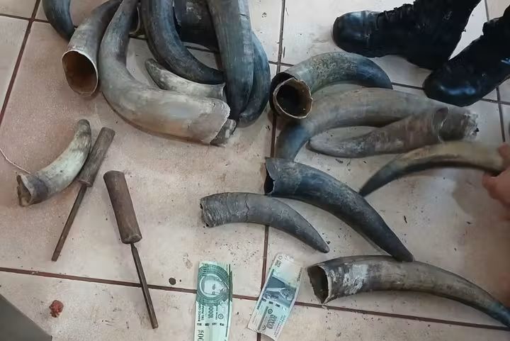 Incautan objetos prohibidos durante un control en el Cereso de Minga Guazú Incautan objetos prohibidos durante un control en el Cereso de Minga Guazú