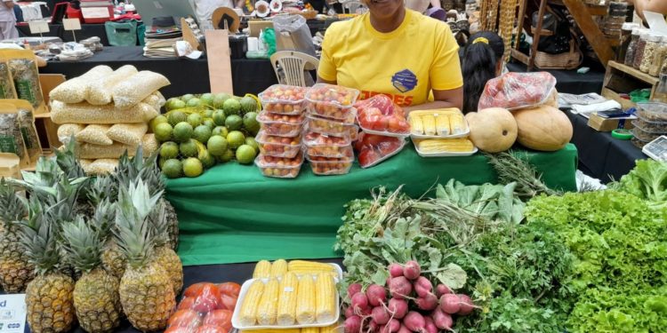 Feria de Emprendedores en Loma Plata promueve la economía local y el talento del Chaco