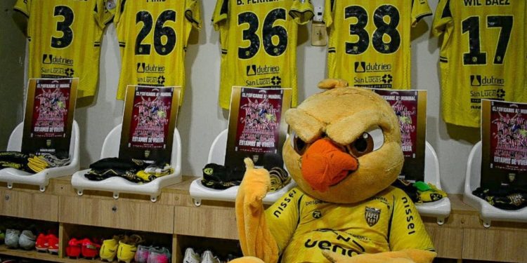 Recoleta FC se convertirá en el 23° equipo paraguayo que disputará un torneo internacional Recoleta FC se convertirá en el 23° equipo paraguayo que disputará un torneo internacional