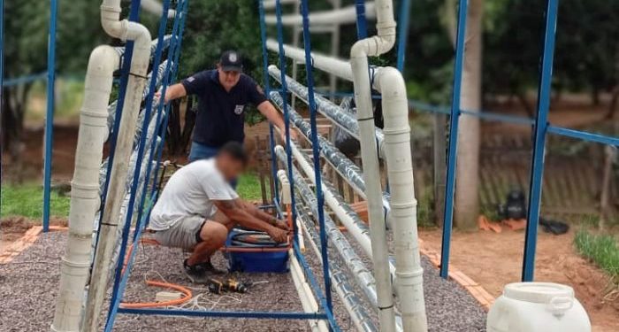 La cosecha de la esperanza: PPL de Emboscada retoma oficio familiar con un invernadero hidropónico La cosecha de la esperanza: PPL de Emboscada retoma oficio familiar con un invernadero hidropónico