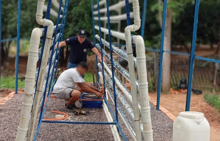 La cosecha de la esperanza: PPL de Emboscada retoma oficio familiar con un invernadero hidropónico