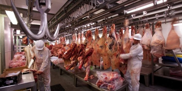 Se concretó el primer envío de carne vacuna a Estados Unidos Se concretó el primer envío de carne vacuna a Estados Unidos