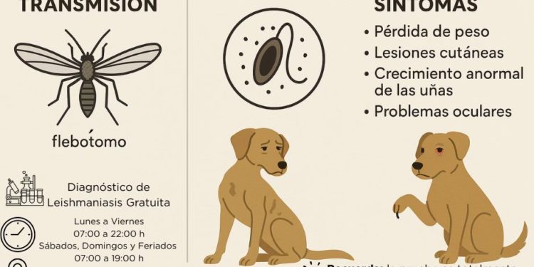 Leishmaniasis: una enfermedad que nace en el ambiente y exige responsabilidad humana