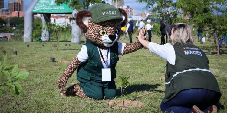 Reforestación Urbana: MADES y EBY plantan 2.000 árboles nativos para crear «Pulmón Verde» en Asunción