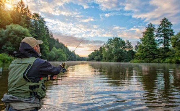 Veda Pesquera 2025-2026: Prohibida la pesca comercial y deportiva desde este 2 de noviembre