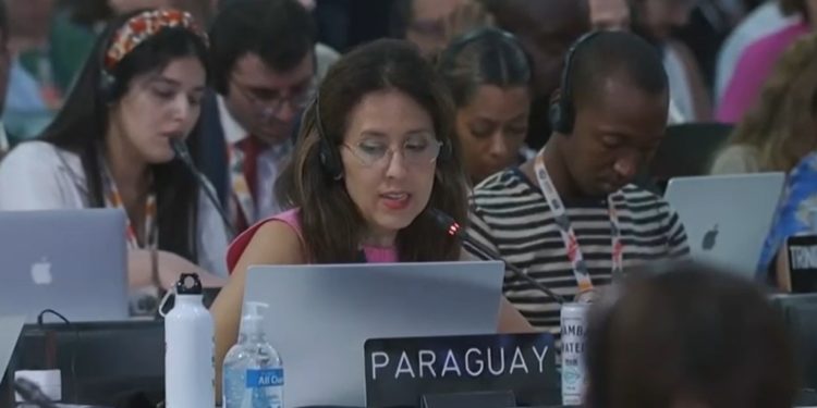 Paraguay fija posición firme sobre género y mitigación climática en la COP30