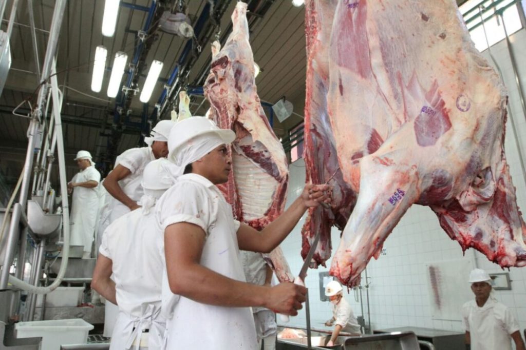 Exportaciones de origen animal alcanzaron US$ 2.255 millones al cierre de octubre