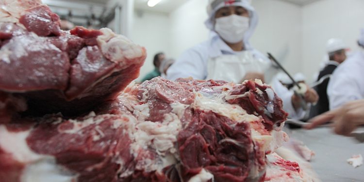 Estudio de CONACOM revela alta concentración y fuerte presión externa sobre el precio de la carne