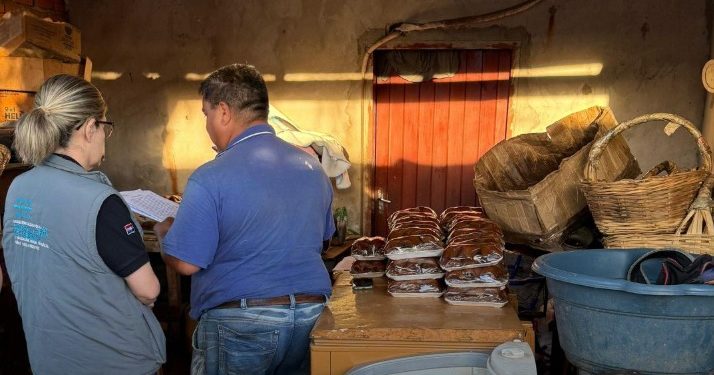 ¿Protección real o maquillaje estatal? Intervención por explotación infantil en el Botánico