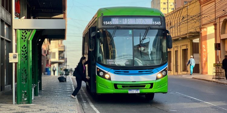 Soberbia política condena a la ley de la reforma del transporte al fracaso, Según titular de CETRAPAN Soberbia política condena a la ley de la reforma del transporte al fracaso, Según titular de CETRAPAN