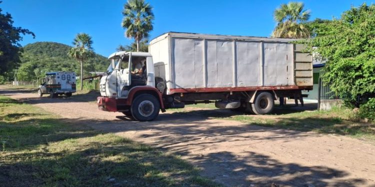 Nuevo lote de insumos y medicamentos recibe parque sanitario de Alto Paraguay