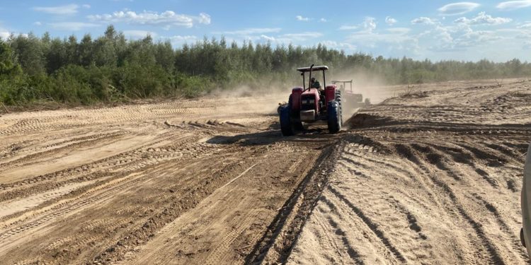 Canal del Pilcomayo está prácticamente listo para recibir próximas riadas Canal del Pilcomayo está prácticamente listo para recibir próximas riadas