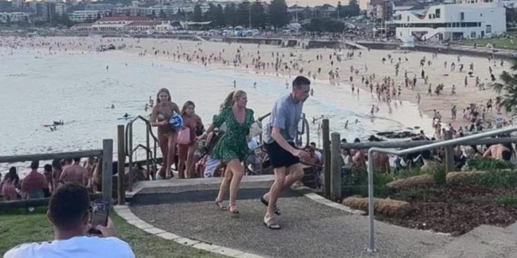 Ataque terrorista en Australia dejó al menos 11 muertos Ataque terrorista en Australia dejó al menos 11 muertos