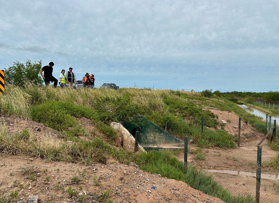 Detectan indicios de uso de pasos de fauna en el Chaco Detectan indicios de uso de pasos de fauna en el Chaco