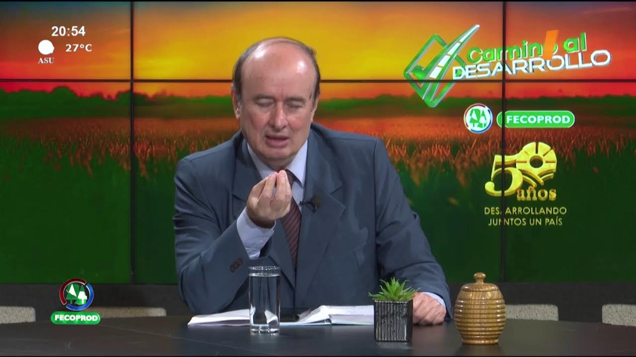 Video: Camino al Desarrollo | Origen y significado del derecho internacional Y Acuerdo UE-MERCOSUR