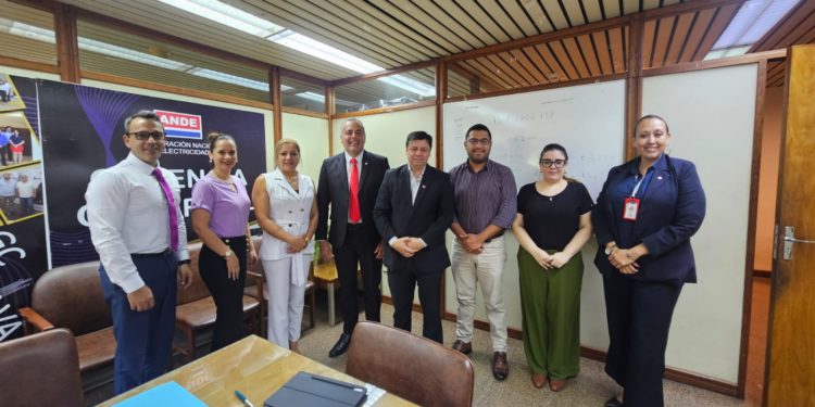 MEC y ANDE instalan mesa técnica para saldar abultada deuda impaga por consumo de energía