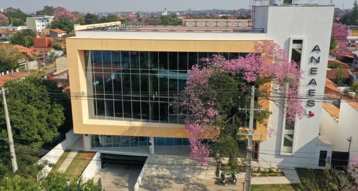 ¿Fin a las «universidades de garaje»?: ANEAES impone rigor técnico para nuevas instituciones