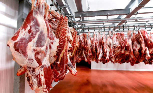 CONACOM abre sumario de oficio a siete frigoríficos por presunta conducta anticompetitiva