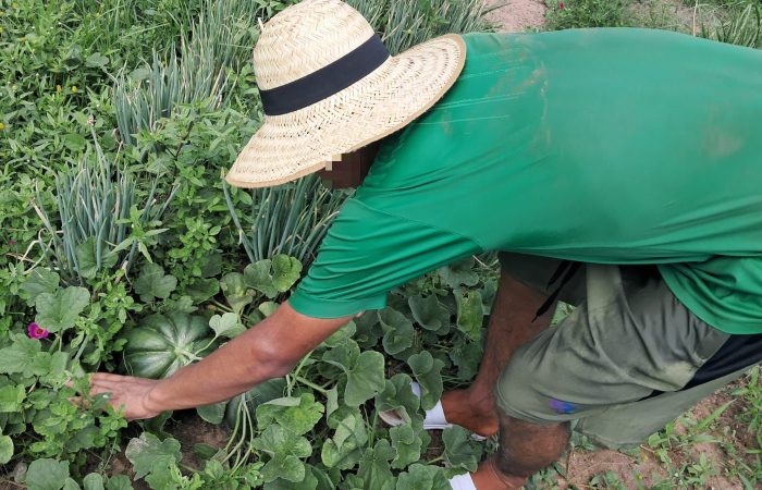 Adolescentes en Concepción inician el 2026 apostando a la reinserción agropecuaria