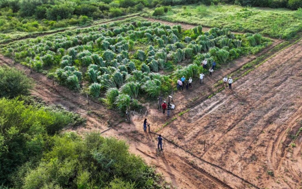 MADES supervisa «proyectos estratégicos» en el Chaco y busca fortalecer el diálogo