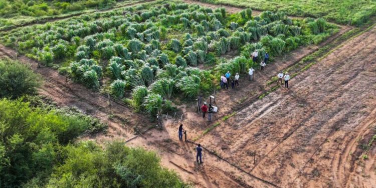 MADES supervisa «proyectos estratégicos» en el Chaco y busca fortalecer el diálogo